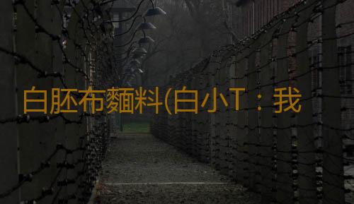 白胚布麵料(白小T:我是有靈魂的T恤)