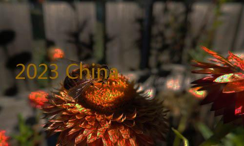 2023 China Joy:樂元素展現公益成果,助力首屆遊戲賦能展會